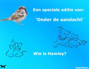 Wie is Hamley?