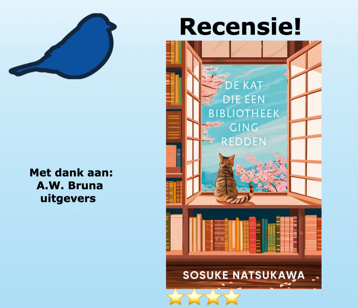 De kat die een bibliotheek ging redden van Sosuke Natsukawa